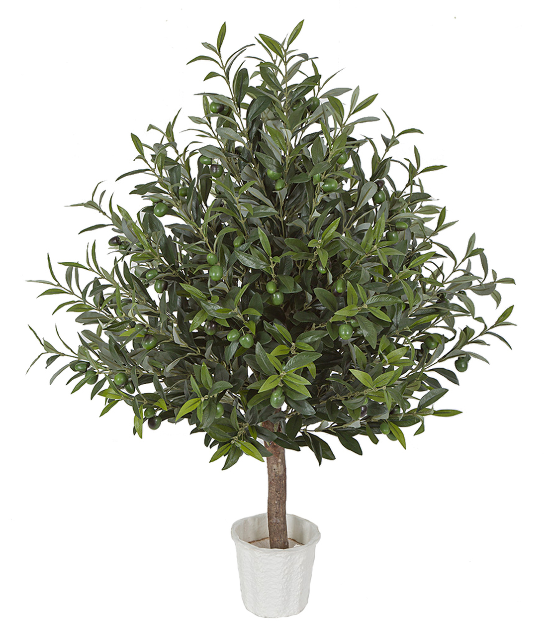 3 foot Olive Tree Topiary with Olives